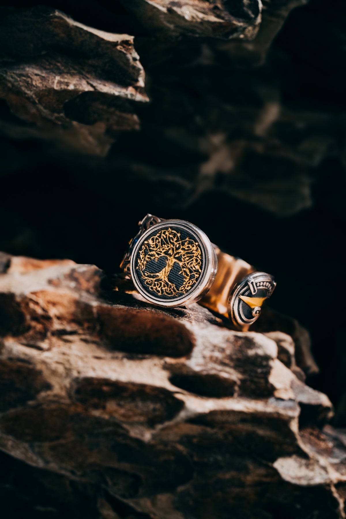 Son of the Forest Silver Ring | S925 & 24K Gold Plated | Handmade Nature Jewelry | Spiritual Gift for Him Her